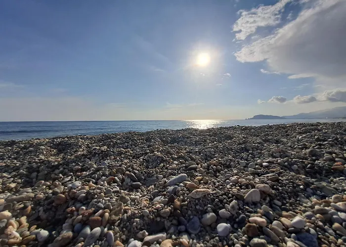 Nerida Homes Алания